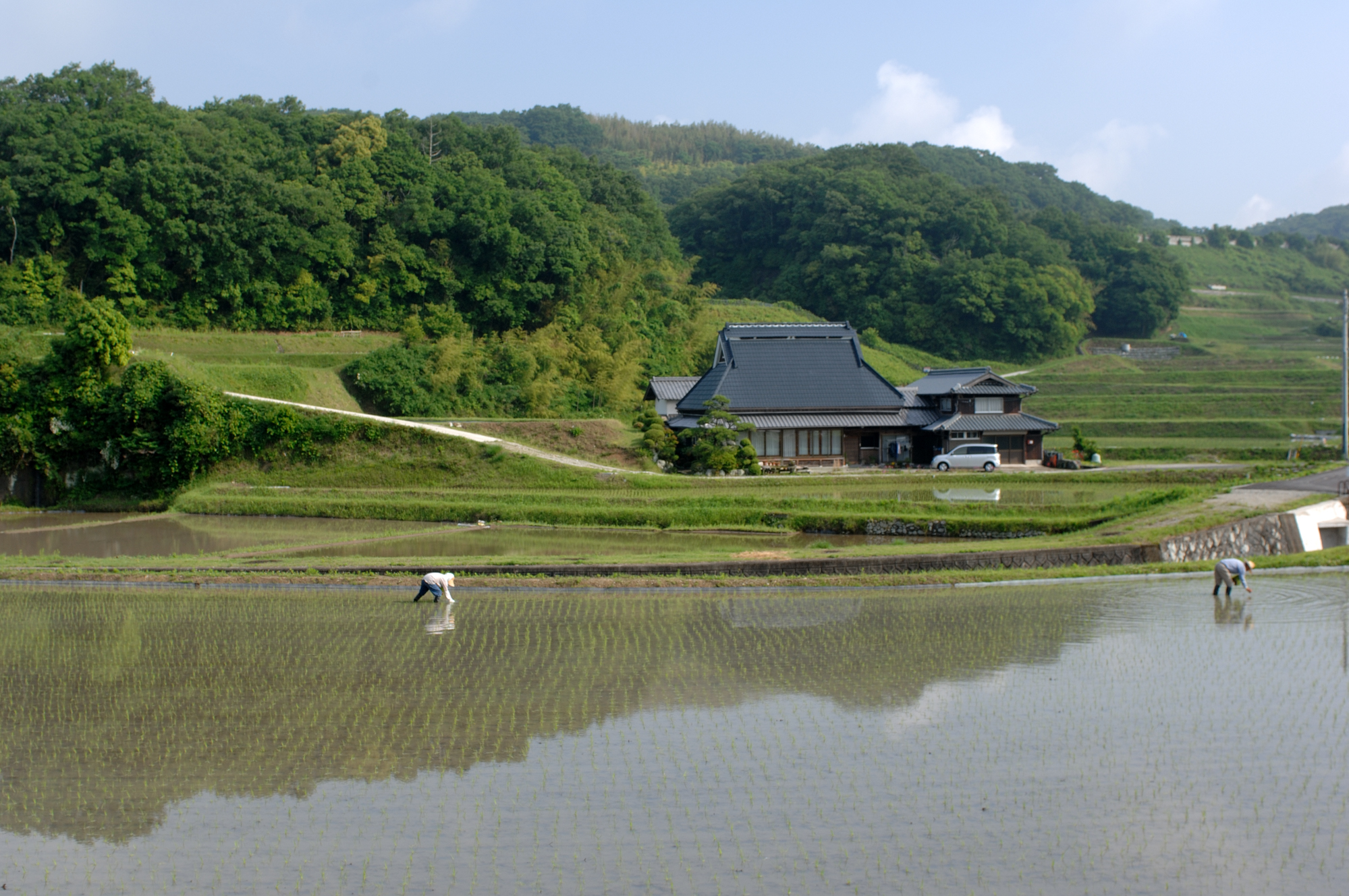 淡河の田園風景